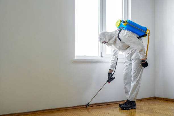 Best Affordable Pest Control Services  in El Dorado, KS